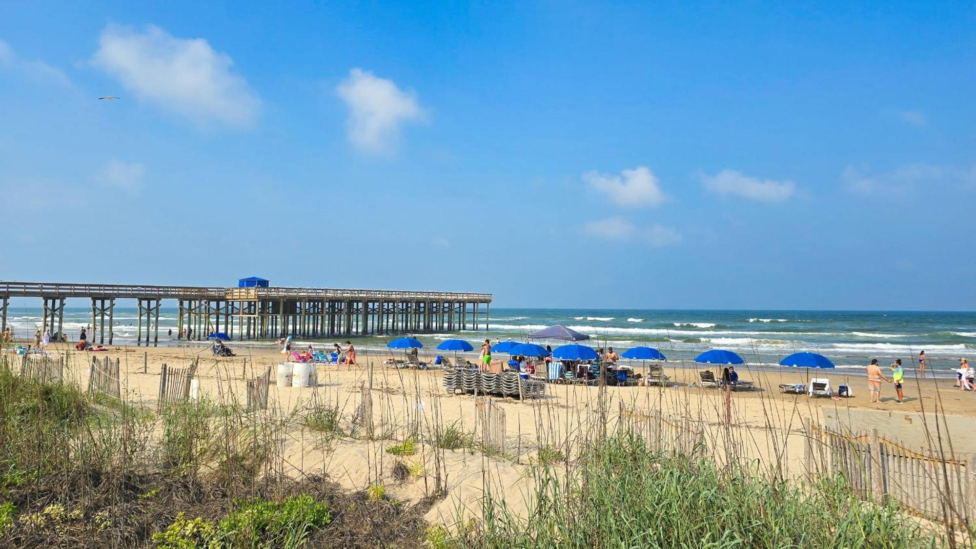 Toucans Retreat Tranquil 1Br Condo With Patio 102 South Padre Island Eksteriør bilde